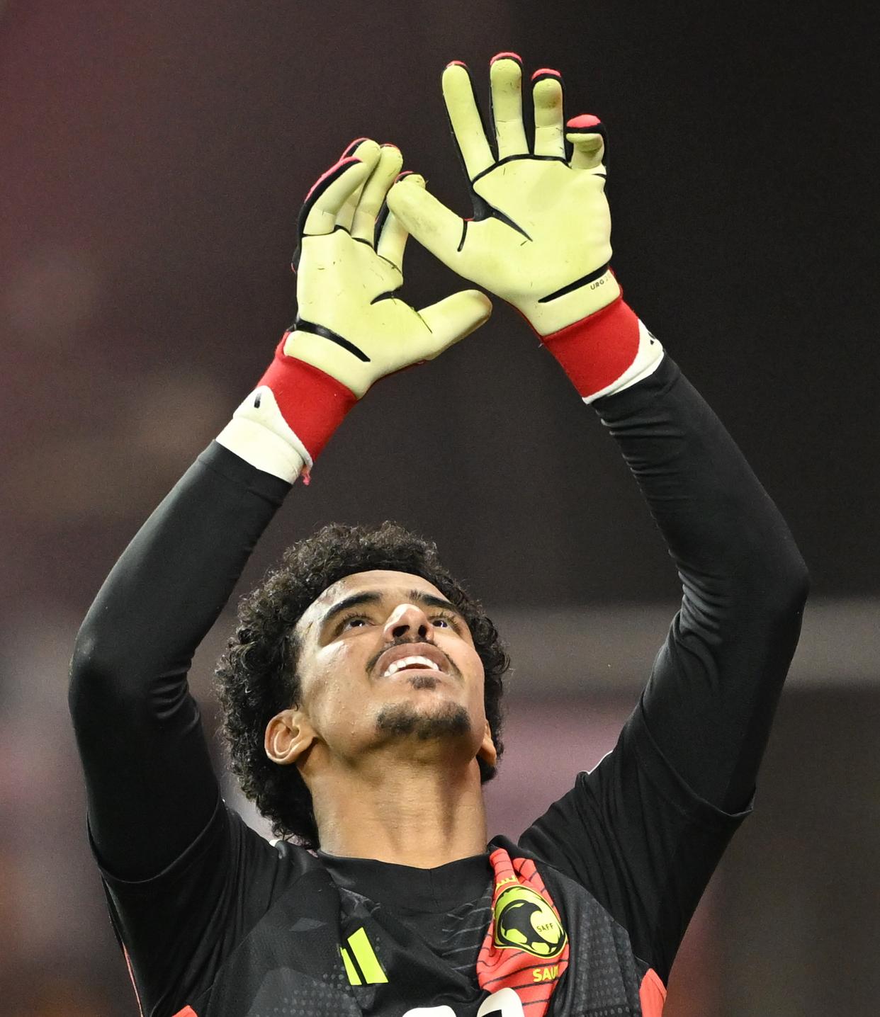 od体育官网入口-澳大利亚田径名将再次夺冠,奇迹发生