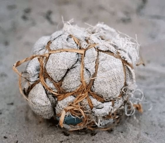 od体育vip注册-关于巴西队取得胜利！里约炮火，澳大利亚被击败。的信息